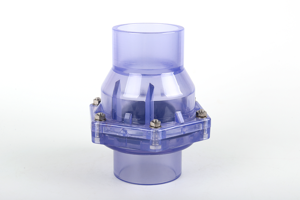 缙云透明翻板式止回阀